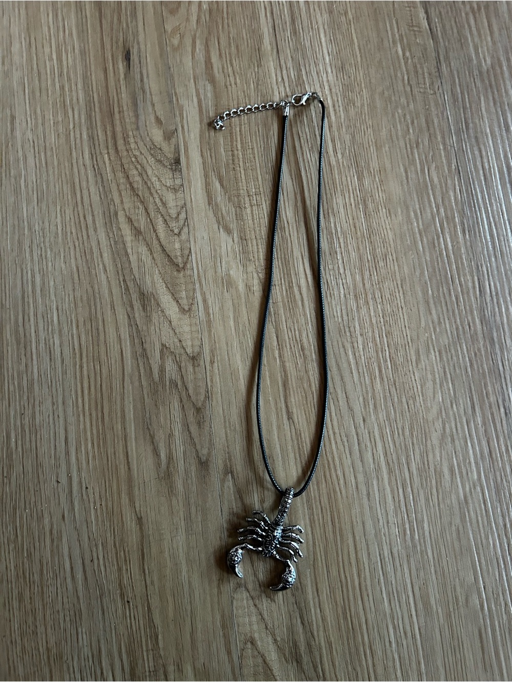 Silver Scorpion Pendant Necklace on Black Cord